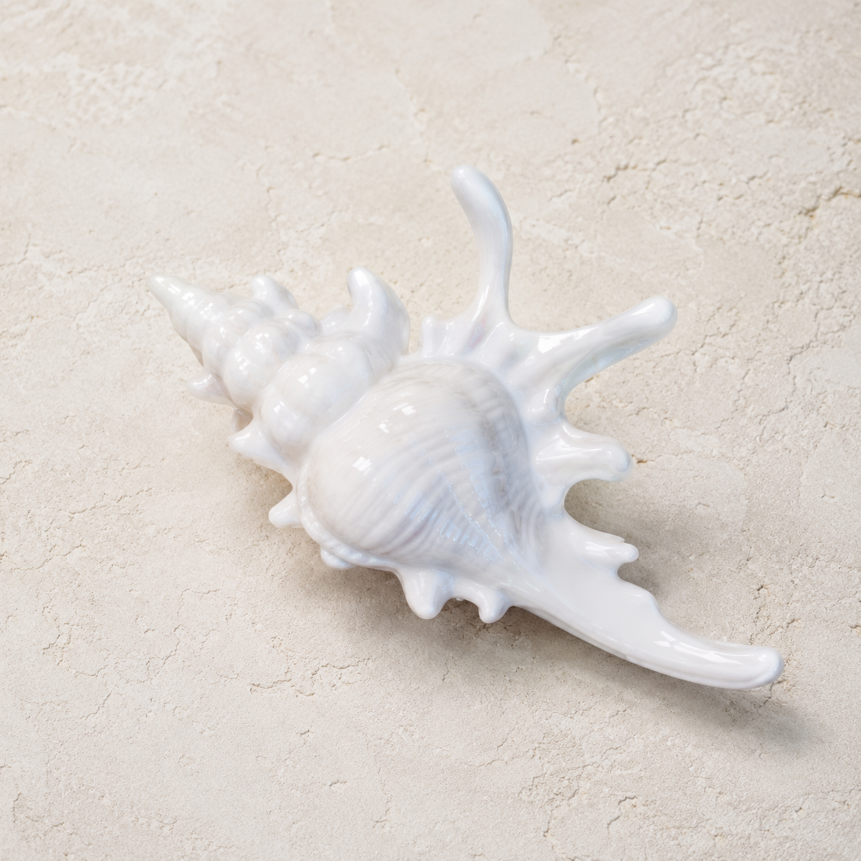 Iridescent Seashell Hair Claw Clip